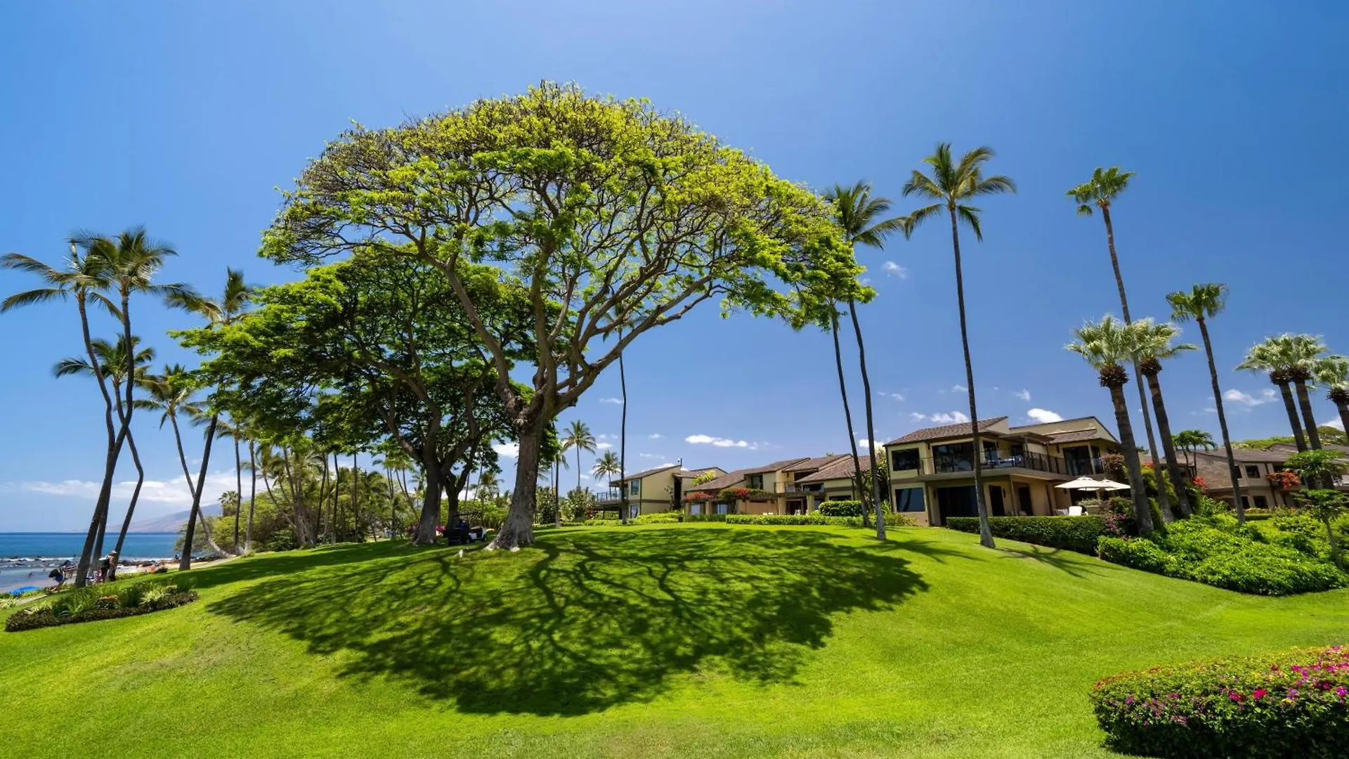 Elua 704 Villa Wailea  Holiday home